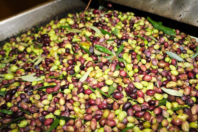 Olive Oil Tasting & Private Chef with Lunch - Price and value: what $71.35 covers in real terms
