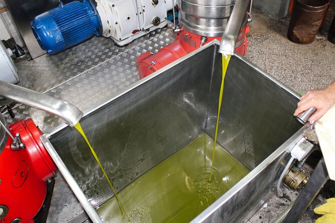Olive Oil Tasting & Private Chef with Lunch - Guided tastings: how local oils teach your palate