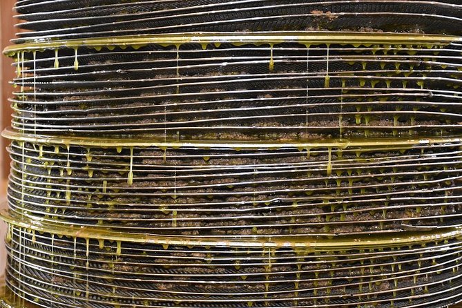 Olive Oil Tasting Tour - Entering the Courtyard: Organic Farming Talk in Epano Archanes