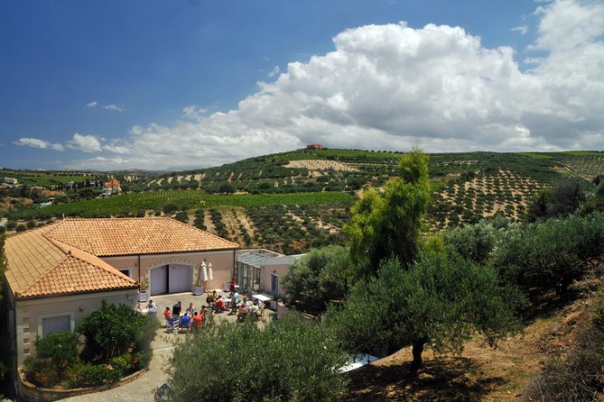 Olive Oil Tasting Tour - Price and Value: Why $19.36 Is Actually Fair Here