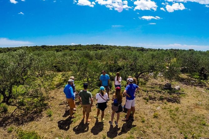 Olive Oil Tour of Solta Island with Lunch - Key things you’ll notice