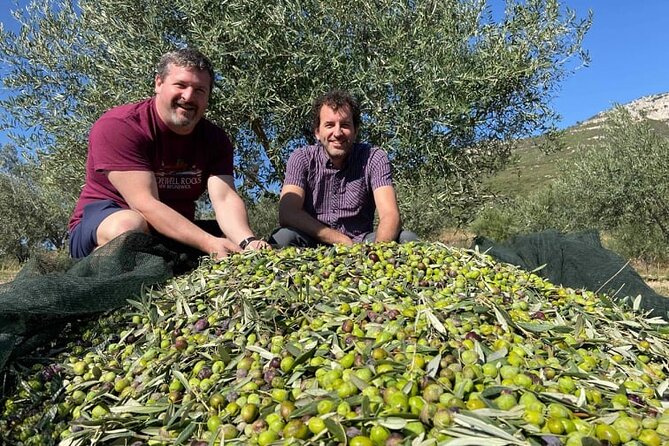 Olive Oil Tour & Tasting with sommelier -Kalentzi, Athens daytrip - Who should book this olive oil experience