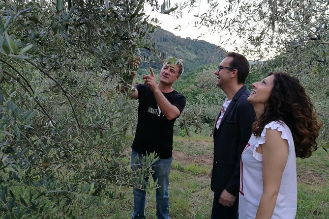 Olive Oil tour with Tuscan dinner - What makes it feel authentically Tuscan