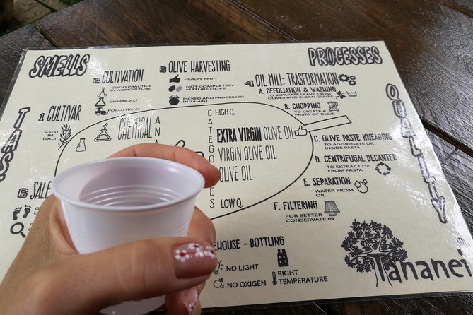 Olive Oil tour with Tuscan dinner - A Quiet 1800s Farmhouse (and a small group that matters)