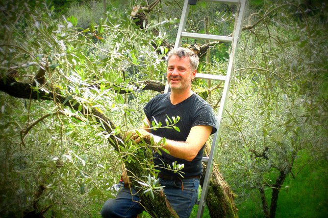 Olive Oil tour with Tuscan dinner - Tasting EVO oil like a sommelier (with a real purpose)