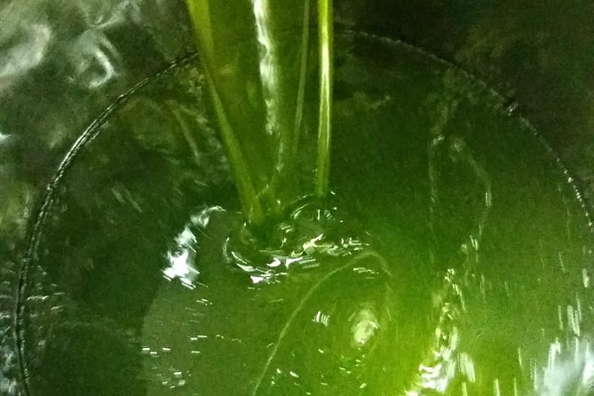 Olive Oil tour with Tuscan dinner - Price and value: what $78.44 really buys you