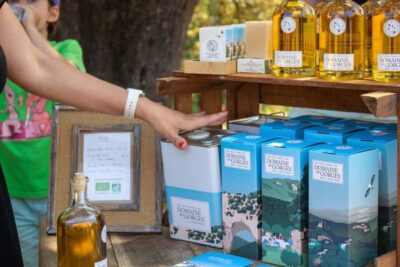 Olive oil: Visit to the olive grove, tasting - Through the Organic Grove: Trees, Seasons, and Real Farming Work