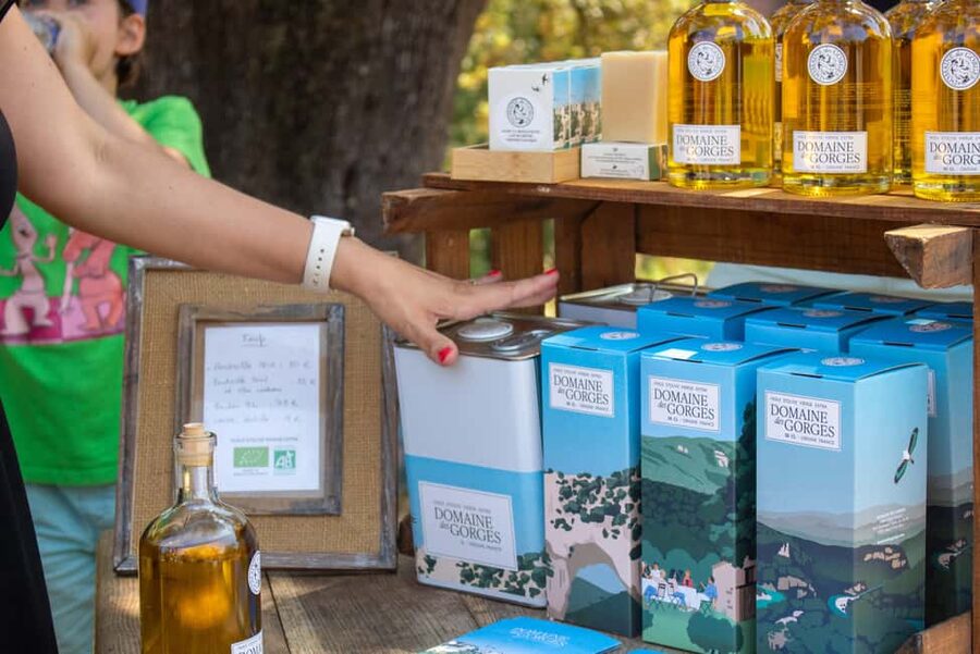 Olive oil: Visit to the olive grove, tasting - Through the Organic Grove: Trees, Seasons, and Real Farming Work