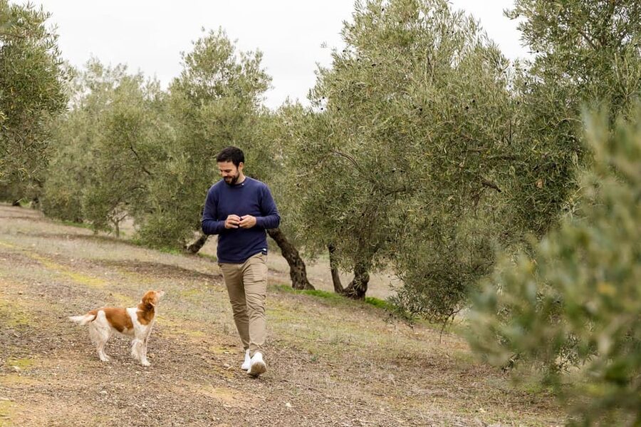 OLIVE OIL & WINE TOUR Organic fields - 5 Wines + 3Olive Oils - Key things to know before you go