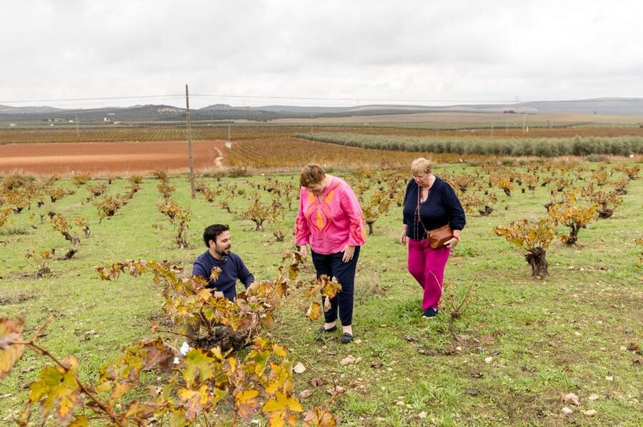 OLIVE OIL & WINE TOUR Organic fields - 5 Wines + 3Olive Oils - Who this tour suits best
