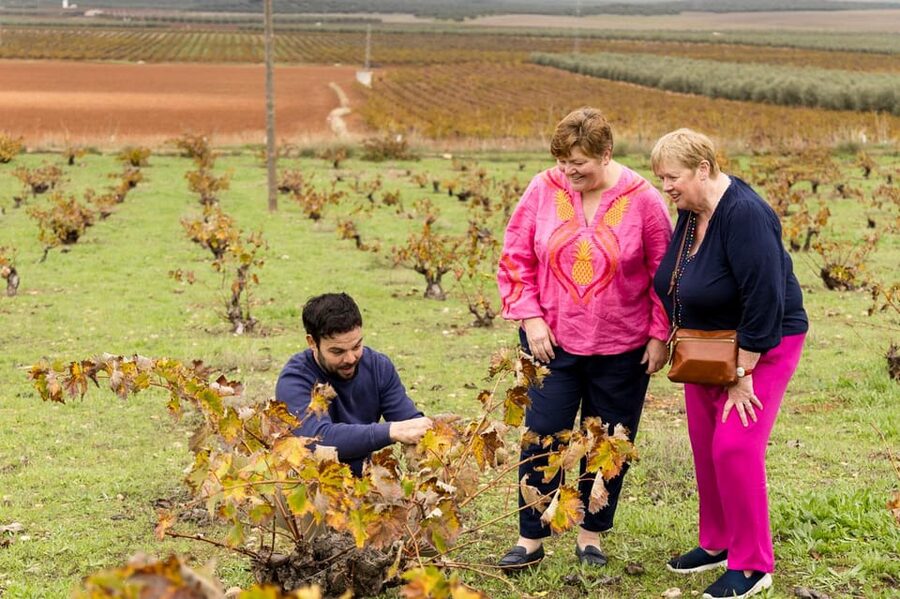 OLIVE OIL & WINE TOUR Organic fields - 5 Wines + 3Olive Oils - The rhythm of the day (and where it might feel long)