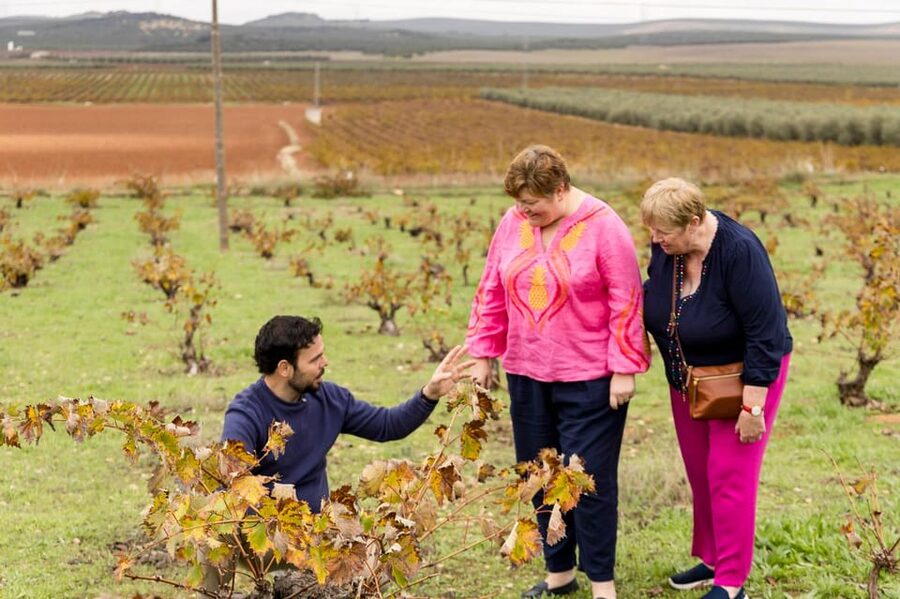OLIVE OIL & WINE TOUR Organic fields - 5 Wines + 3Olive Oils - Mollina fields: 100% organic, pesticide-free walking