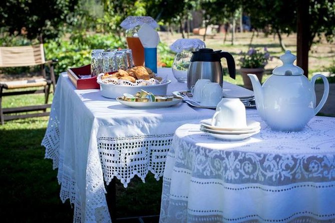 Olympia Shore Ex: Olympic site, Honey Farm & Olive Oil Tasting - Katakolon port logistics: how this tour keeps the day sane