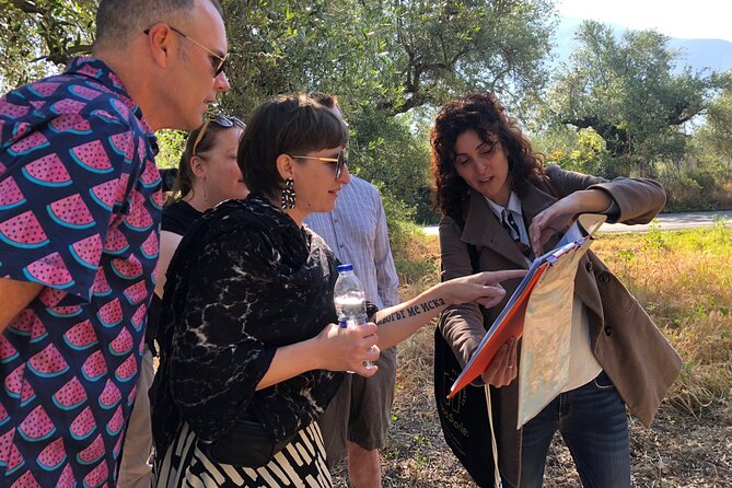 Organic Olive Grove tour & Olive oil tasting & lunch in Kalamata! - Key highlights worth clocking before you go