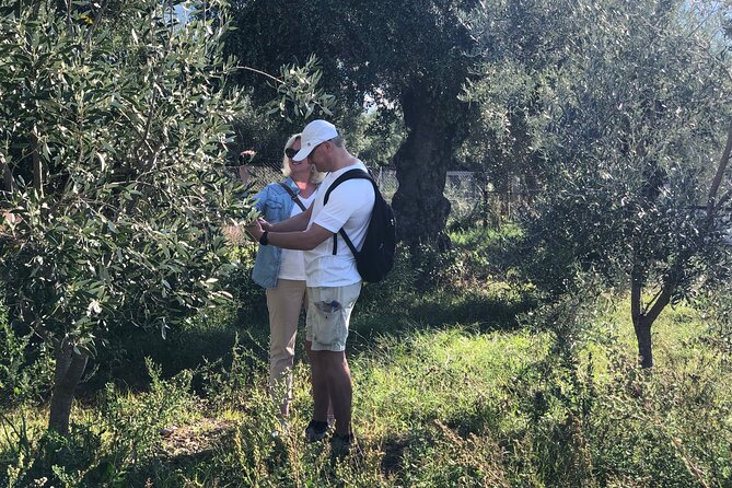 Organic Olive Grove tour & Olive oil tasting & lunch in Kalamata! - Lunch option at a local taverna: when it’s worth the extra charge