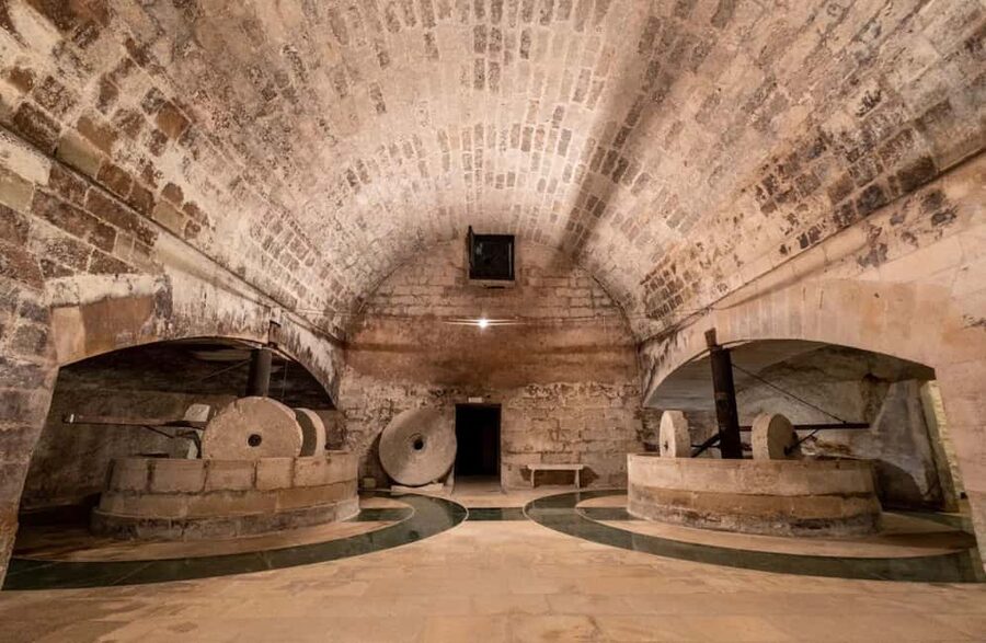 Organic Wine and Olive Oil Tasting Experience near Lecce - Key highlights you’ll notice right away