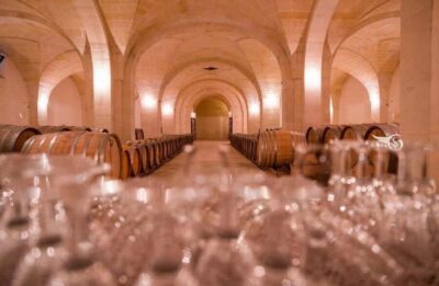 Organic Wine and Olive Oil Tasting Experience near Lecce - The 30-minute underground oil mill tour: 1700s craftsmanship you can feel