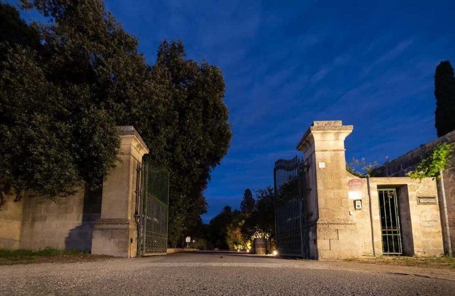 Organic Wine and Olive Oil Tasting Experience near Lecce - Sustainability and heritage in plain terms: what you’re really paying for
