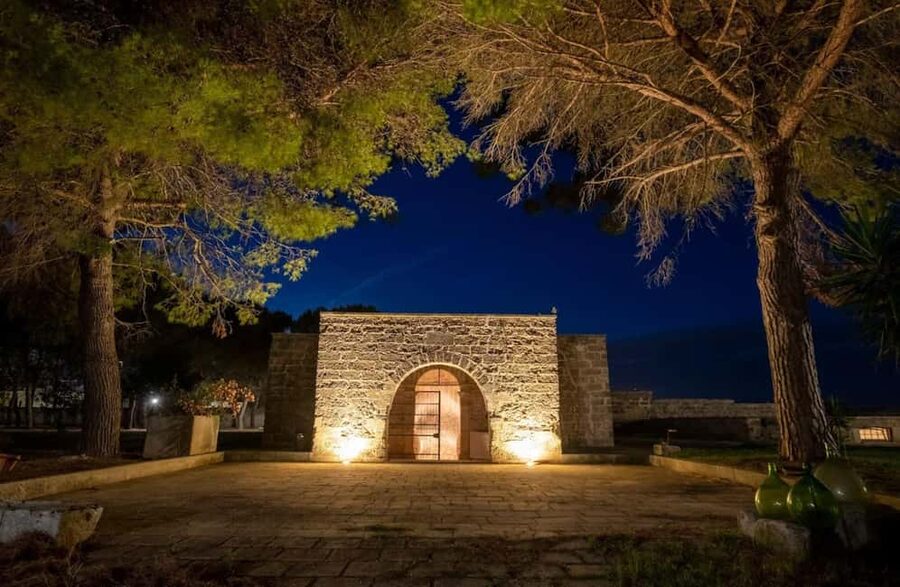 Organic Wine and Olive Oil Tasting Experience near Lecce - Price and logistics: $57 for 90 minutes—when it feels like a good deal