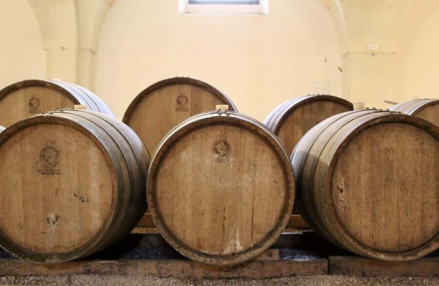 Organic Wine and Olive Oil Tasting Experience near Lecce - Who this tour suits best (and who should think twice)