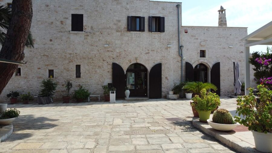 Ostuni: Olive Oil Tasting Tour - The 3 organic oil tasting: how to taste without overthinking