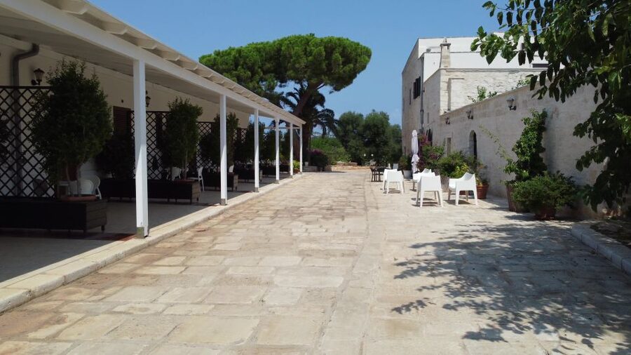 Ostuni: Olive Oil Tasting Tour - Food pairings in rural Puglia: olives, tarallini, and broad beans