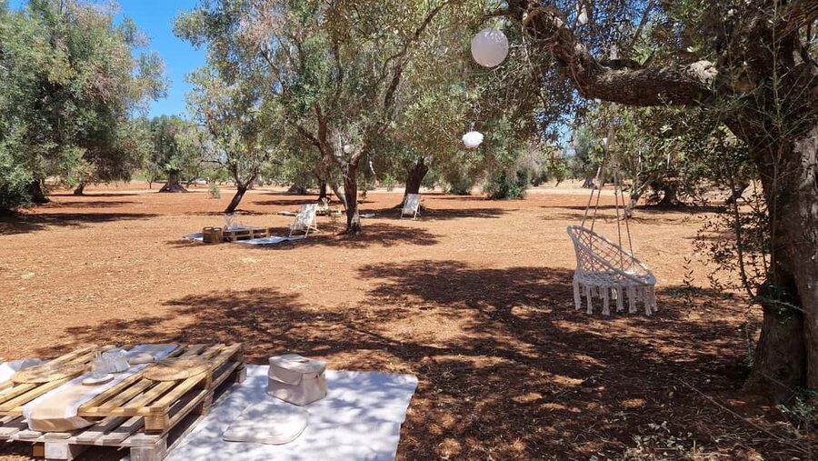 Ostuni: San Vito dei Normani: Organic Picnic in Olive Grove - Arriving by Ostuni and Brindisi: what starts this 3-hour reset