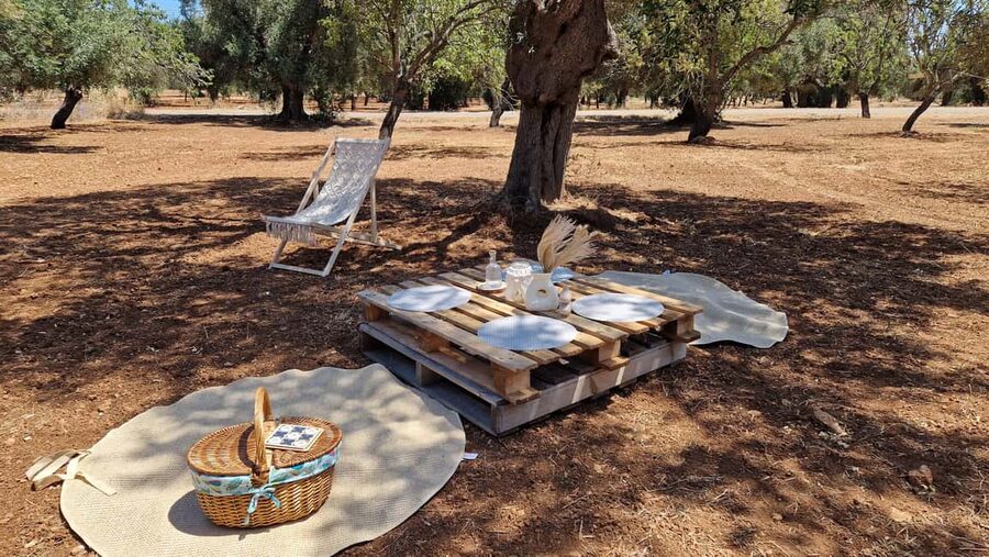 Ostuni: San Vito dei Normani: Organic Picnic in Olive Grove - Boho picnic setup: hammocks, swing chairs, and shaded comfort