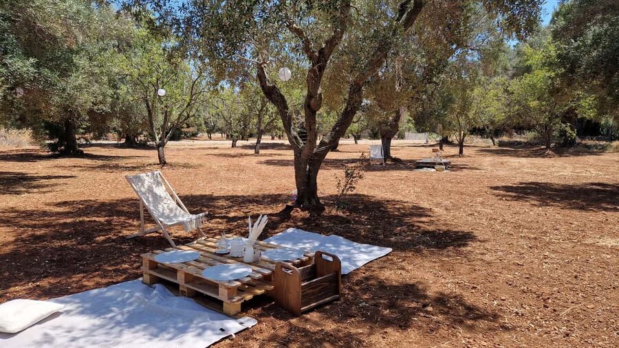 Ostuni: San Vito dei Normani: Organic Picnic in Olive Grove - Activities in the grove: badminton, tic-tac-toe, and light competition