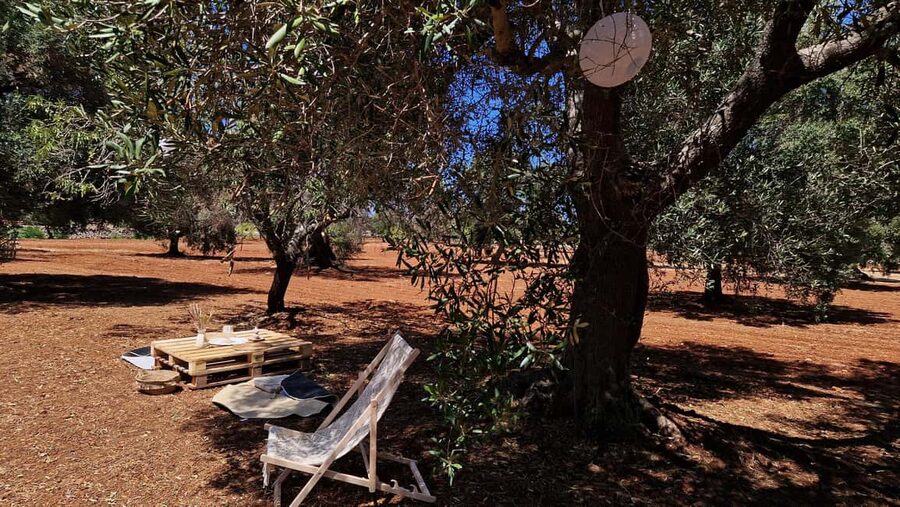 Ostuni: San Vito dei Normani: Organic Picnic in Olive Grove - FAQ