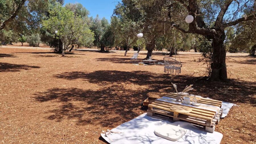 Ostuni: San Vito dei Normani: Organic Picnic in Olive Grove - The organic charcuterie board: what you’re really buying for $88
