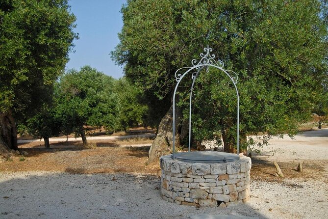 Ostuni : Tasting of Extra Virgin Olive Oil in Masseria - Where this Ostuni olive tasting really happens