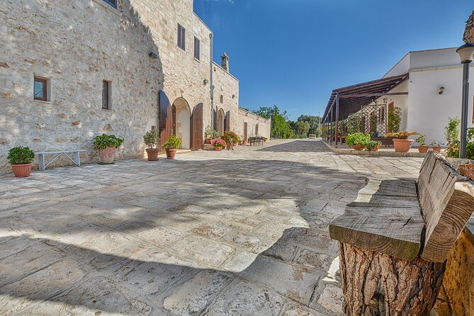 Ostuni : Tasting of Extra Virgin Olive Oil in Masseria - The underground oil mill from 1500: why it changes your tasting