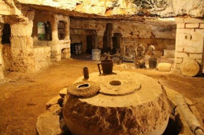 Ostuni : Tasting of Extra Virgin Olive Oil in Masseria - Meeting at Masseria Valente and what the timing feels like