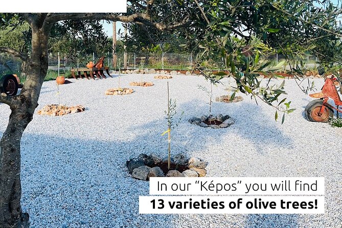Pallada Semi-Private Olive Oil Tours in Sternes, Chania - Enter Pallada Kèpos: olive groves plus native plants