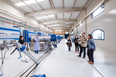 Picualia, olive oil mill tour & EVOO tasting - Start at the olive grove: picual variety, not generic oil
