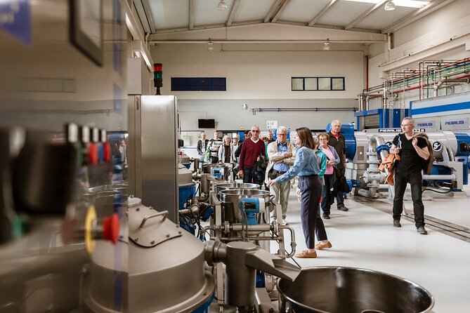 Picualia, olive oil mill tour & EVOO tasting - Who should book this olive oil mill and EVOO tasting