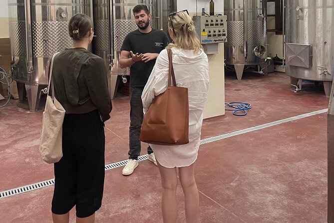 Premium Cretan Olive Oil Tasting, Wine, Raki and Local Food Tour - The food pairing is the secret sauce (Cretan products keep it real)