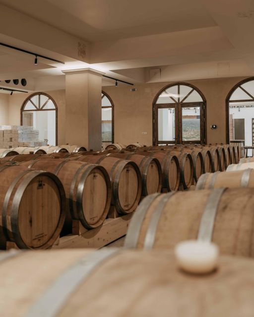 Premium Crete Olive oil tasting, Wine, Raki and Cretan food! - Key highlights