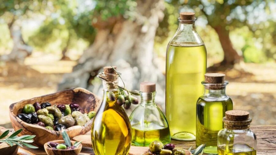 Premium Crete Olive oil tasting, Wine, Raki and Cretan food! - Comfort and practical tips before you go