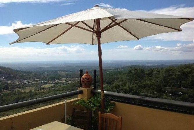 Premium gastronomic mountain tour: Wine, olive oil, spirits, food - A Mountain-to-Table Day in Monchique Country