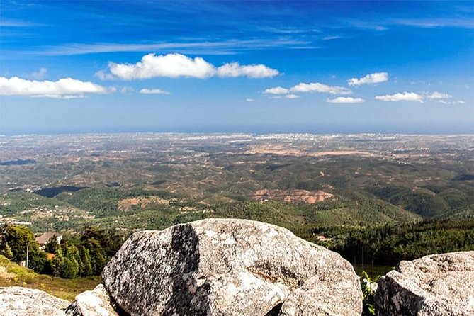 Premium gastronomic mountain tour: Wine, olive oil, spirits, food - Price and value: what $345.40 really covers