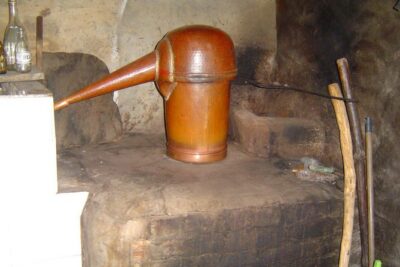 Premium gastronomic mountain tour: Wine, olive oil, spirits, food - Stop 2: Monchique olive oil at Lagar dos Pardieiros plus medronho firewater