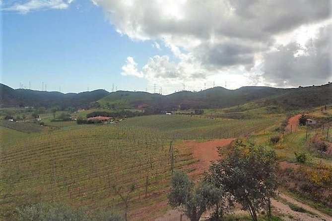 Premium gastronomic mountain tour: Wine, olive oil, spirits, food - What kind of traveler should pick this tour?