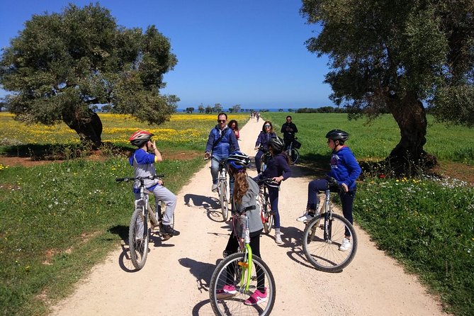 Private Bike Tour with Olive Oil Tasting - Private bike tour from Montalbano: the value in the day plan