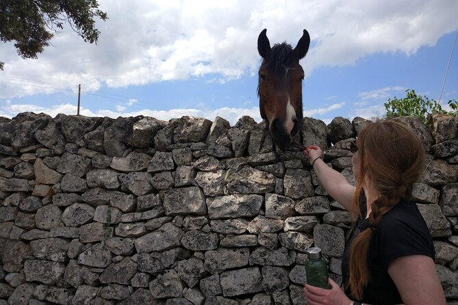 Private Bike Tour with Olive Oil Tasting - Cycling in Puglia at a pace that doesn’t beat you up