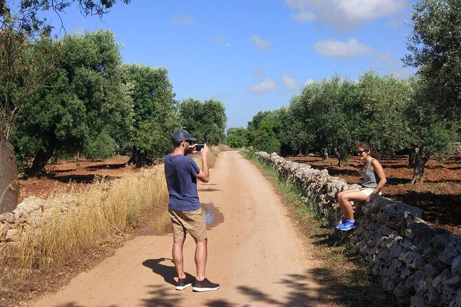 Private Bike Tour with Olive Oil Tasting - Price and logistics: why $138.18 can be a good deal