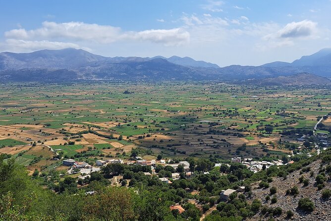 Private Guided Tour to Lasithi Plateau Villages & Olive Oil Mill - Omalia Olive Press: tasting olive oil like a local craft, not a showroom