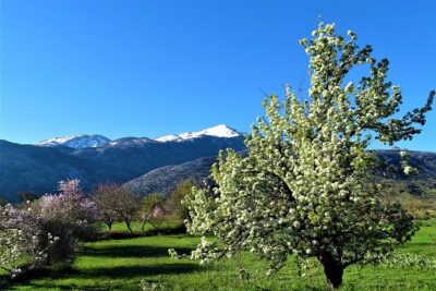 Private Guided Tour to Lasithi Plateau Villages & Olive Oil Mill - Zeus Cave hike approach: what to expect from that 15–20 minute uphill
