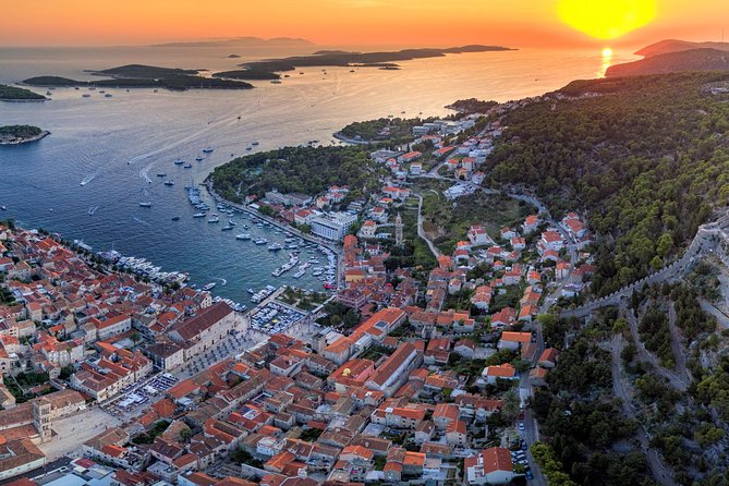 Private Hvar Island Tour and Olive Oil Tasting - Key highlights you’ll actually feel during the tour